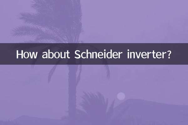 شنائیڈر انورٹر کے بارے میں کیا خیال ہے؟