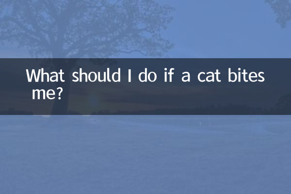 ¿Qué debo hacer si me muerde un gato?