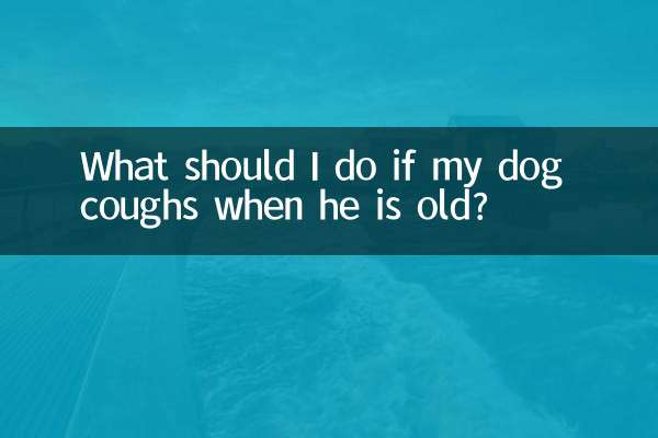 اگر سگ من در سنین پیری سرفه کند چه کار کنم؟