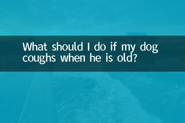 اگر میرے کتے کے بوڑھے ہونے پر کھانسی ہو تو مجھے کیا کرنا چاہئے؟
