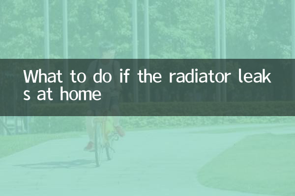 自宅でラジエーターが漏れた場合の対処法