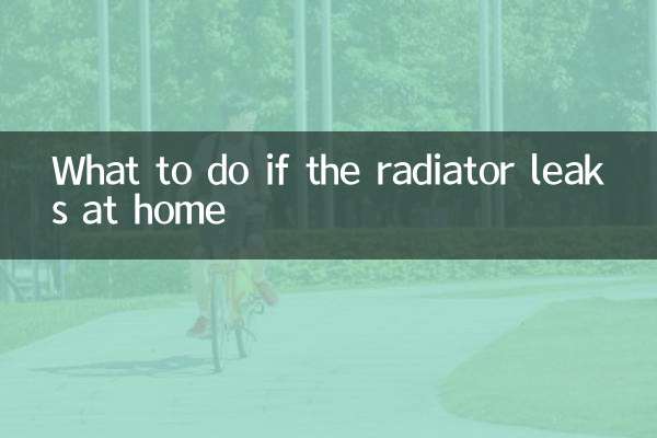自宅でラジエーターが漏れた場合の対処法