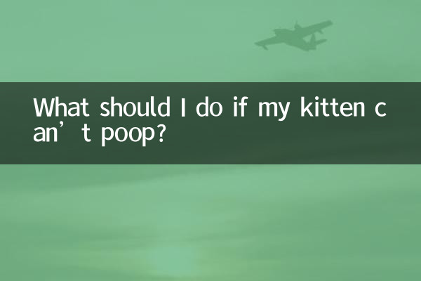 O que devo fazer se meu gatinho não consegue fazer cocô?