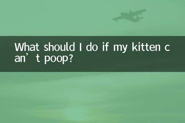 小貓不會拉屎怎麼辦