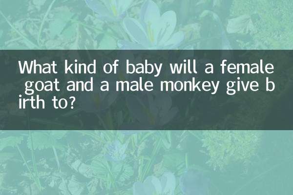 بز ماده و میمون نر چه بچه ای به دنیا می آورند؟