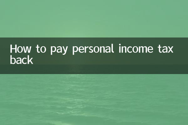 ذاتی انکم ٹیکس واپس کیسے کریں