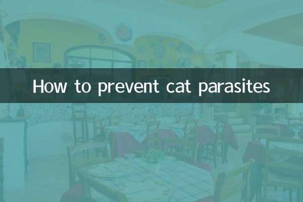 بلی کے پرجیویوں کو کیسے روکا جائے