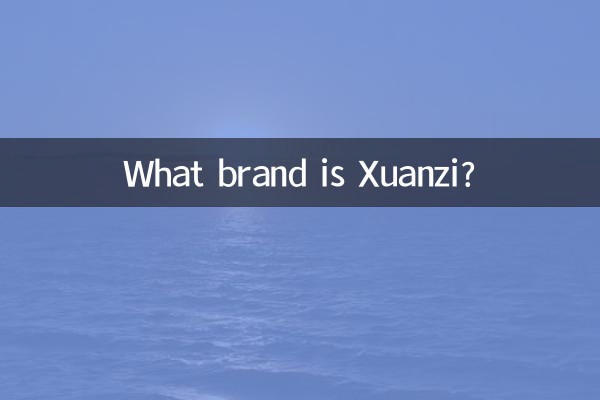 Xuanzi कौन सा ब्रांड है?