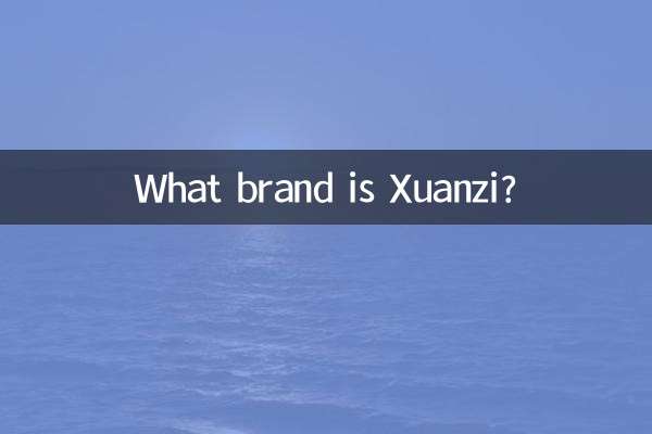 Xuanzi कौन सा ब्रांड है?