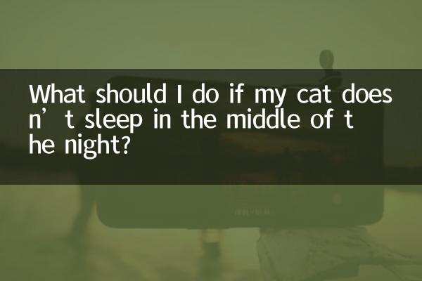 اگر گربه من نیمه شب نخوابد چه کار کنم؟