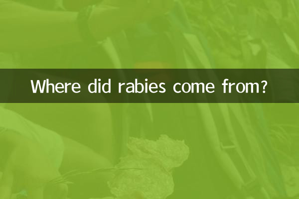 狂犬病怎么来的