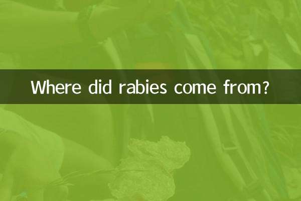 De onde veio a raiva?