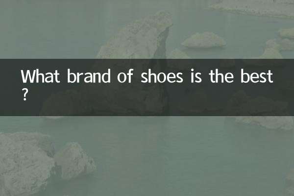 জুতা কোন ব্র্যান্ডের সেরা?