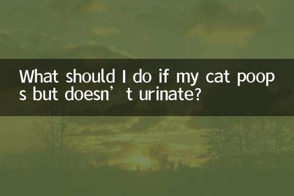 猫拉屎不拉尿怎么办