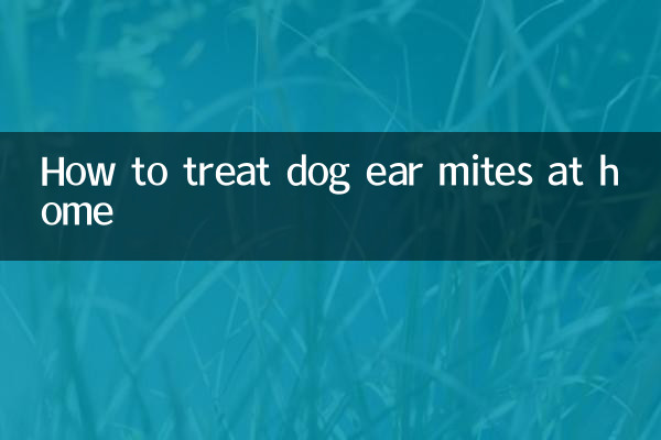 狗耳蟎在家怎麼治