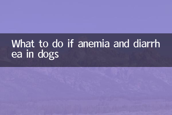 Was tun, wenn Anämie und Durchfall bei Hunden