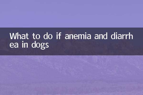 Was tun, wenn Anämie und Durchfall bei Hunden