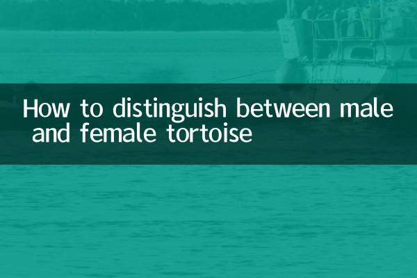 How to distinguish between male and female tortoise
