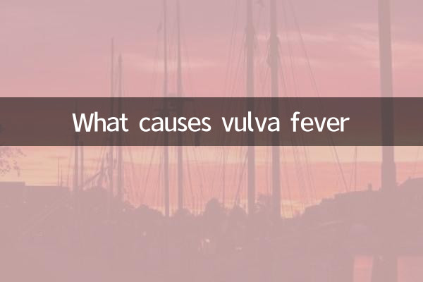 Was verursacht Vulva -Fieber
