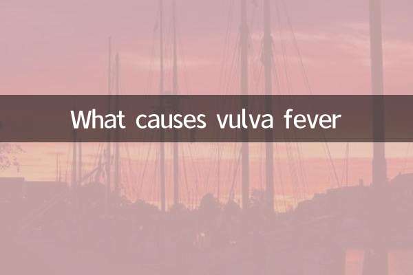 Was verursacht Vulva -Fieber
