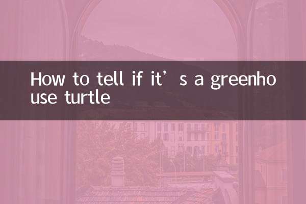 How to tell if it’s a greenhouse turtle