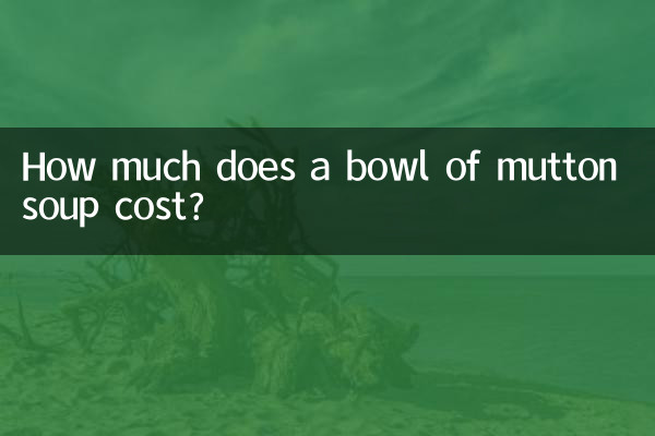 양고기 수프 한 그릇의 가격은 얼마입니까?