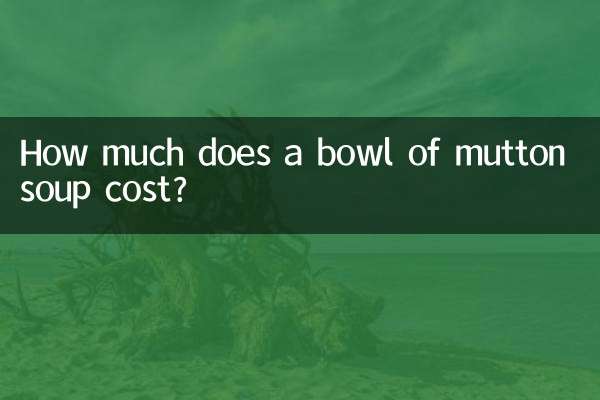 양고기 수프 한 그릇의 가격은 얼마입니까?