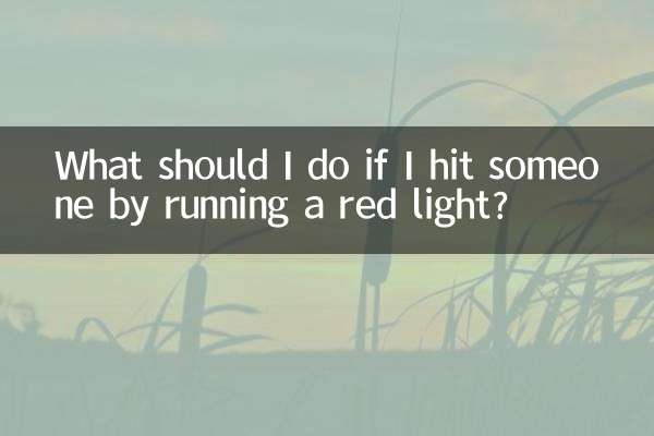 What should I do if I hit someone by running a red light?