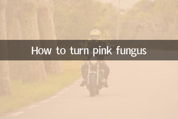 Wie man einen Pilz rosa macht