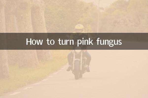 نحوه تبدیل قارچ صورتی