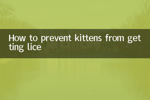 बिल्ली के बच्चों को जूँ होने से कैसे रोकें