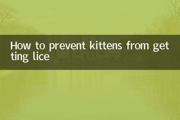 새끼 고양이가 이가 생기지 않도록 예방하는 방법