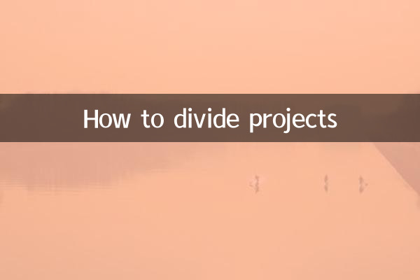 प्रोजेक्टों का बंटवारा कैसे करें