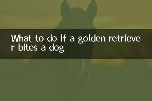 ماذا تفعل إذا عض كلب جولدن ريتريفر