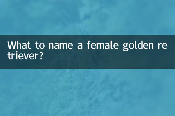 母金毛取什么名字