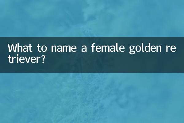 母金毛取什么名字