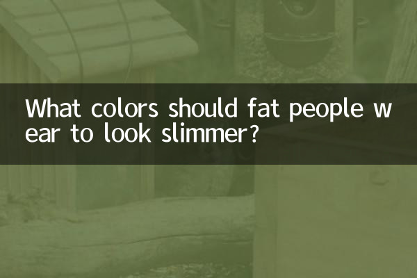 Quelles couleurs les personnes grosses devraient-elles porter pour paraître plus minces ?