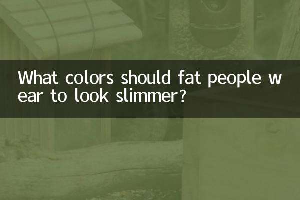 Quali colori dovrebbero indossare le persone grasse per sembrare più magre?