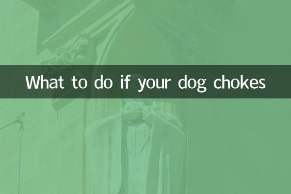 ماذا تفعل إذا اختنق كلبك