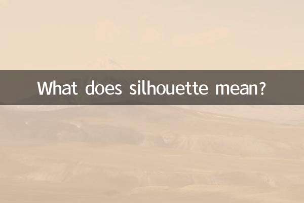 সিলুয়েট মানে কি?