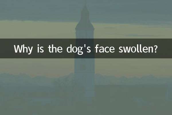 Why is the dog's face swollen?