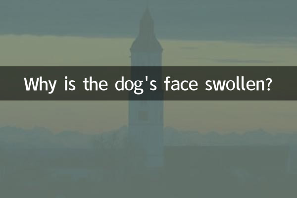 कुत्ते का चेहरा क्यों सूजा हुआ है?