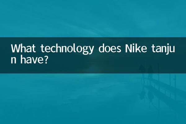 What technology does Nike Tanjun have?