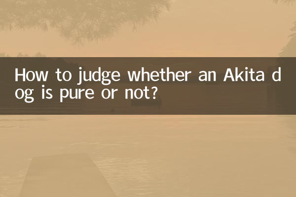 How to judge whether an Akita dog is pure or not?