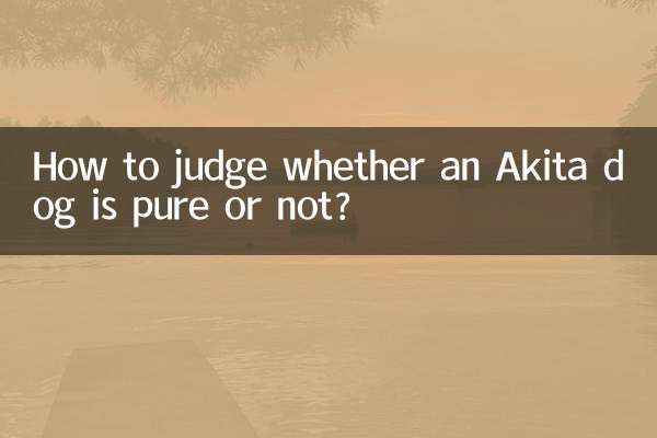 How to judge whether an Akita dog is pure or not?