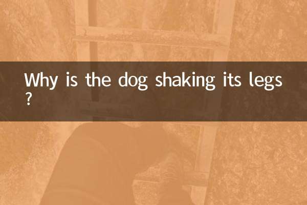 Why is the dog shaking its legs?