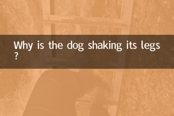 کتا اس کی ٹانگیں کیوں ہلا رہا ہے؟