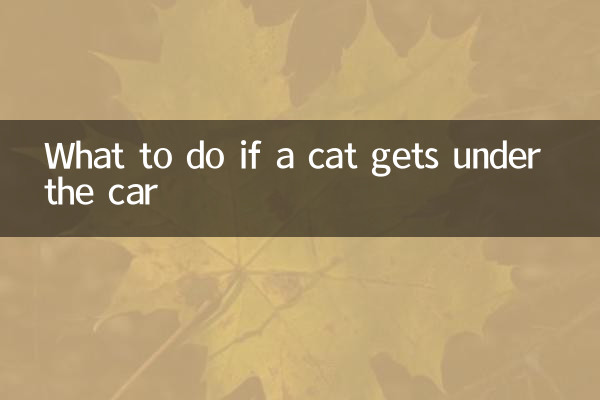 猫が車の下に入ってきたらどうするか