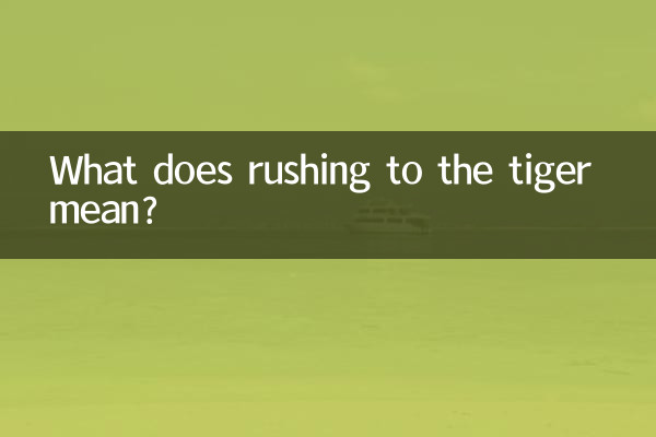 ماذا يعني الاندفاع إلى النمر؟