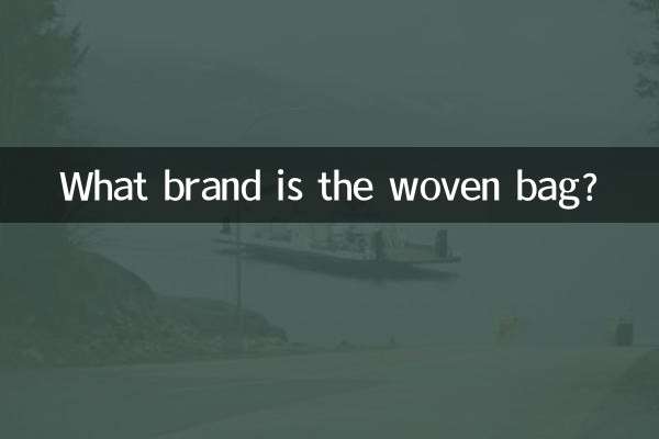 What brand is the woven bag?